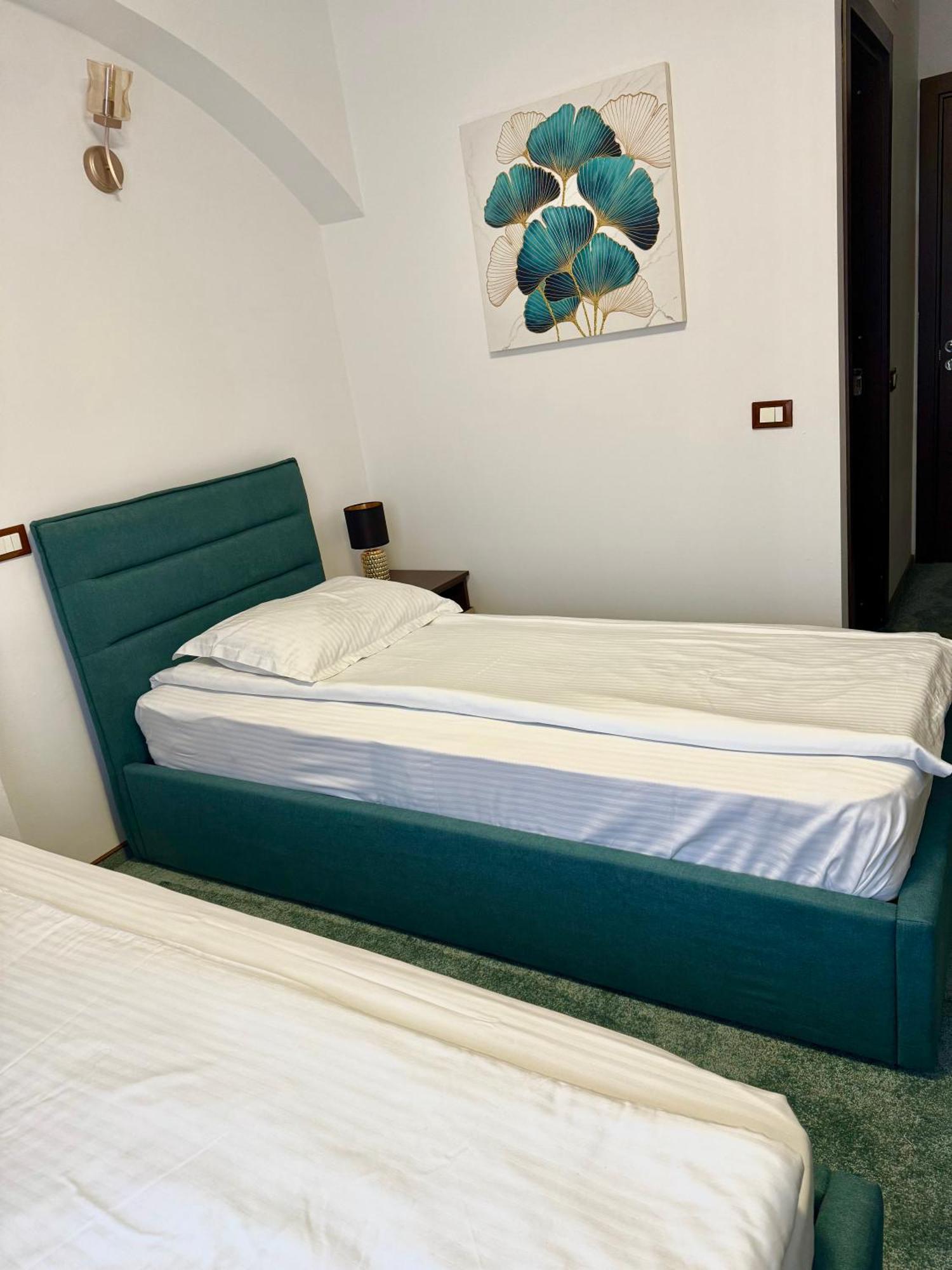 Hotel Palace Târgu Jiu المظهر الخارجي الصورة